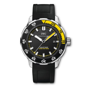 Фото 4 - IWC Aquatimer Automatic 2000 IW356810