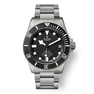 Фото 4 - Tudor Pelagos m25600tn-0001 42mm