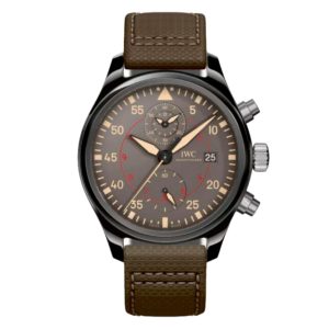 Фото 26 - IWC Pilots Watch Top Gun Miramar IW389002