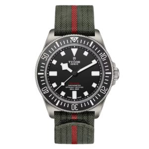 Фото 25 - Tudor Pelagos m25717n-0001 42mm