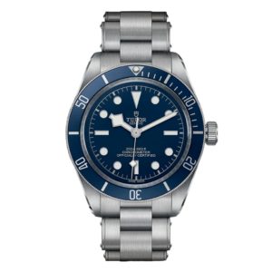 Фото 4 - Tudor Black Bay m79030b-0001